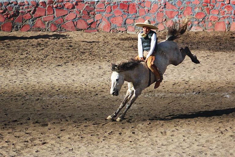 Charreadas en El Rancho Los Castro Charreadas en El Rancho Los Castro