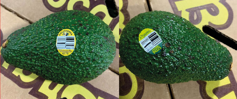 ¡Cuidado con estos Aguacates!