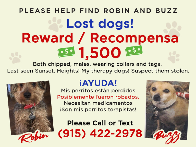 Reward / Recompensa