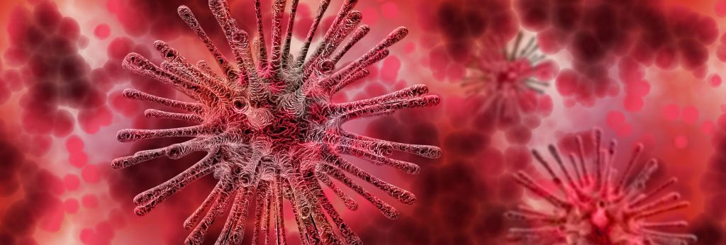 ¿Qué es el nuevo coronavirus 2019?