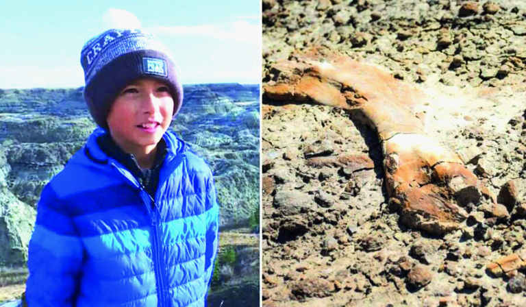 ¡Insólito! Niño descubrió dinosaurio de 69 millones de años ¡Insólito! Niño descubrió dinosaurio de 69 millones de años