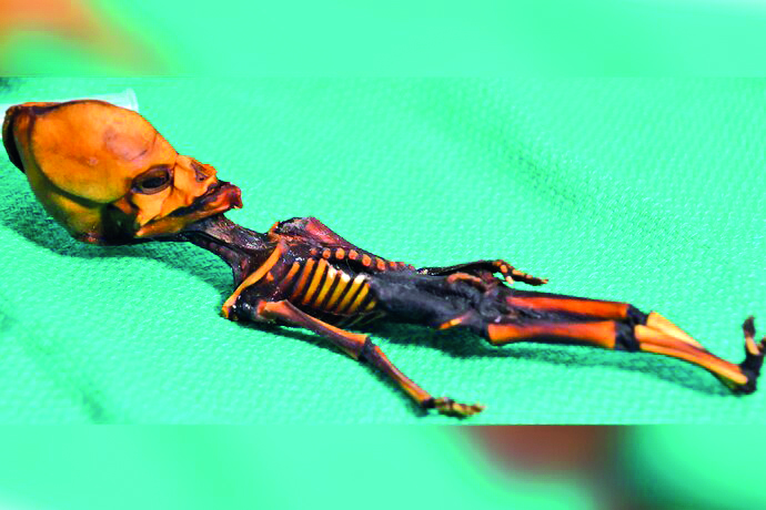 Develan origen de “momia” miniatura encontrada en Chile