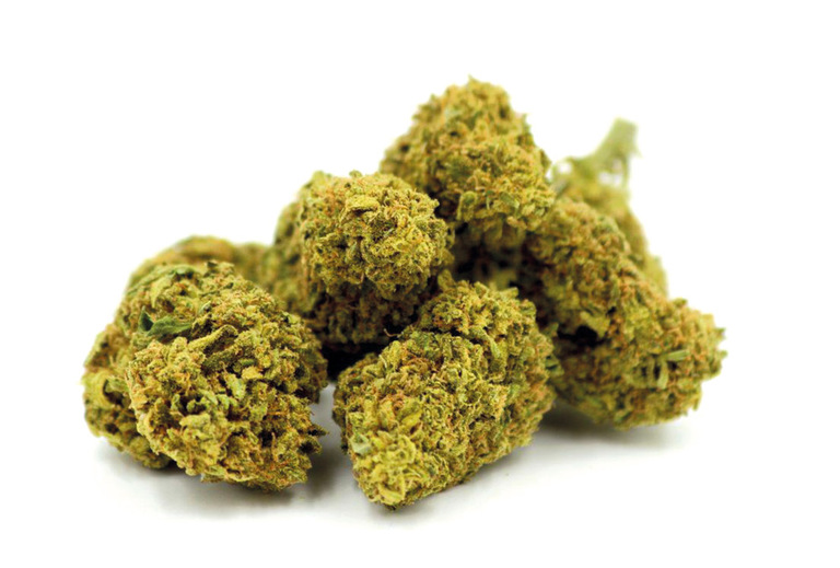 La legalización del cannabis se agotó, la gobernadora convocará una sesión especial