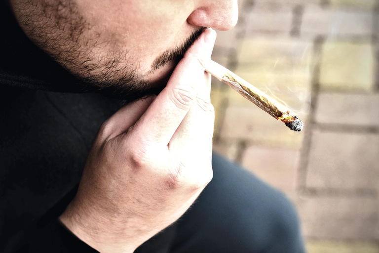 La gobernadora promulga la legalización del cannabis La gobernadora promulga la legalización del cannabis