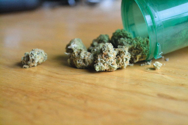 El primer día de cannabis legal para adultos en Nuevo México