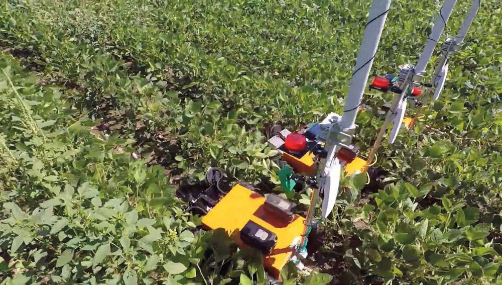 Robots quitan hierbas sin usar pesticidas