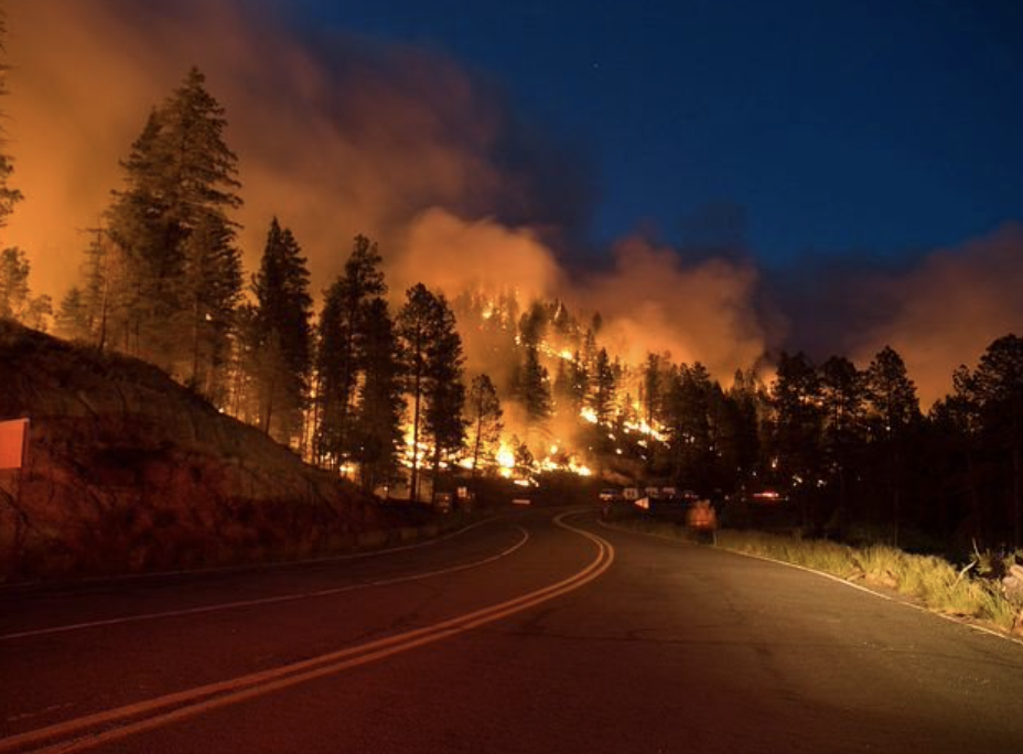 El gobierno federal financiará la respuesta a los incendios forestales de Nuevo México: Biden