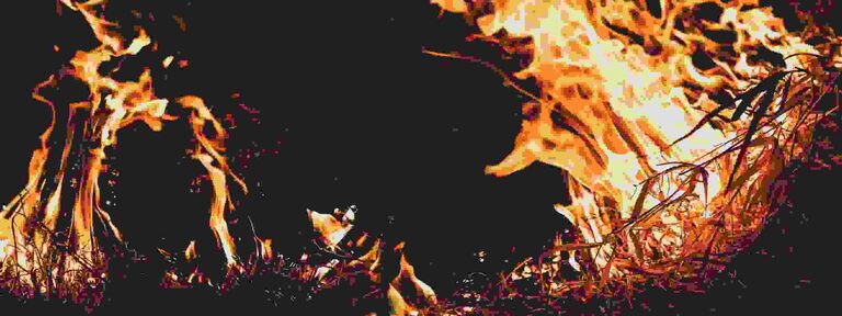 El gobierno federal financiará la respuesta a los incendios forestales de Nuevo México: Biden