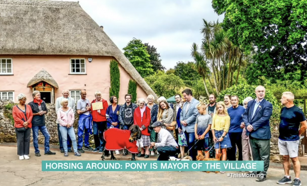 Pony famoso por beber cerveza en un pub, ahora fue elegido alcalde del pueblo 