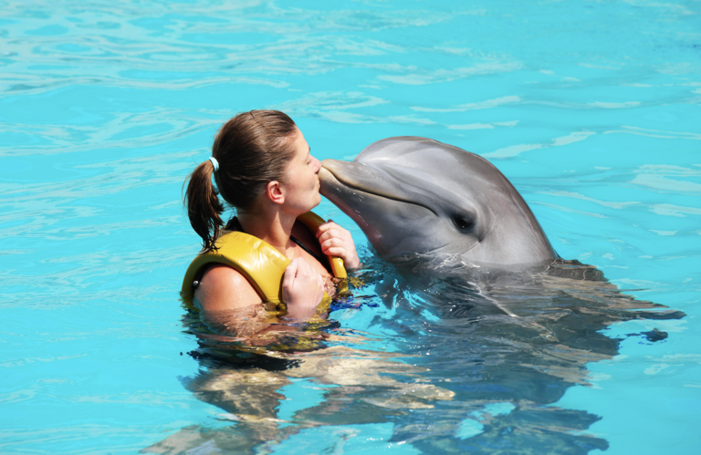 Insólito: Los delfines duermen con un ojo abierto.