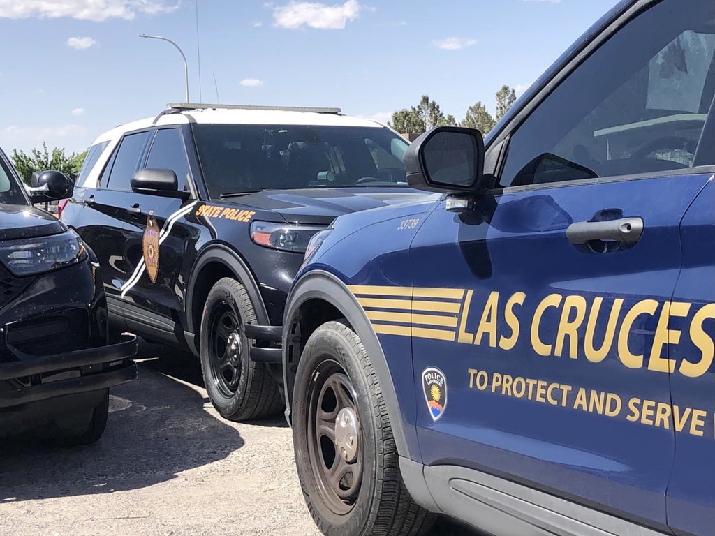 LAS CRUCES: Operación de Robo a Minoristas Arroja 14 Arrestos