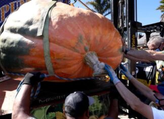 Insólito: Estados Unidos: Calabaza de 2560 libras gana concurso e impone récord