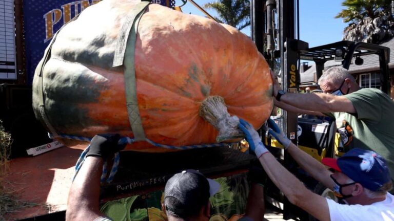 Insólito: Estados Unidos: Calabaza de 2560 libras gana concurso e impone récord 