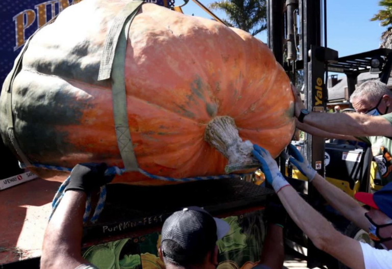 Estados Unidos: Calabaza de 2560 libras gana concurso e impone récord Estados Unidos: Calabaza de 2560 libras gana concurso e impone récord