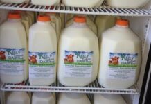 Lechería involucrada en brote en leche cruda