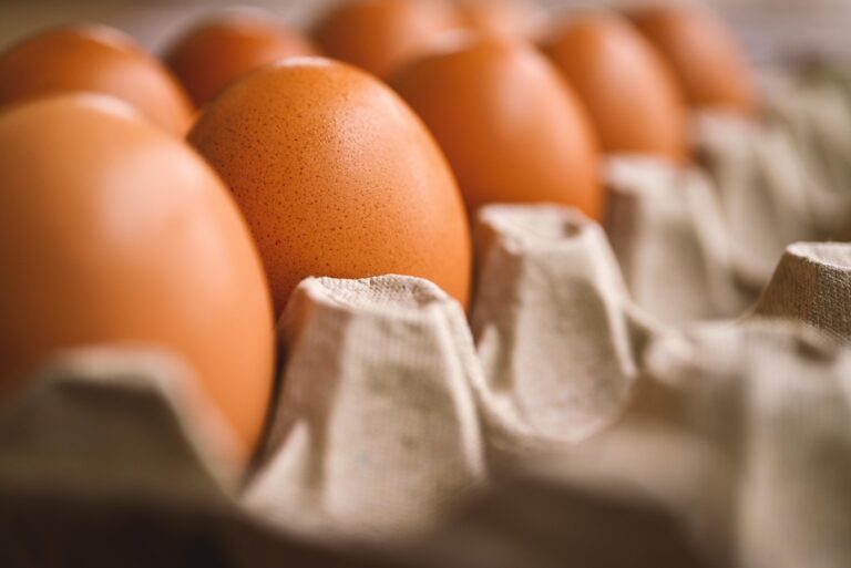 Retiran 20 millones de huevos por salmonela 