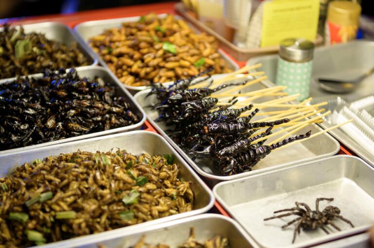 INSÓLITO: 5 comidas raras del mundo 