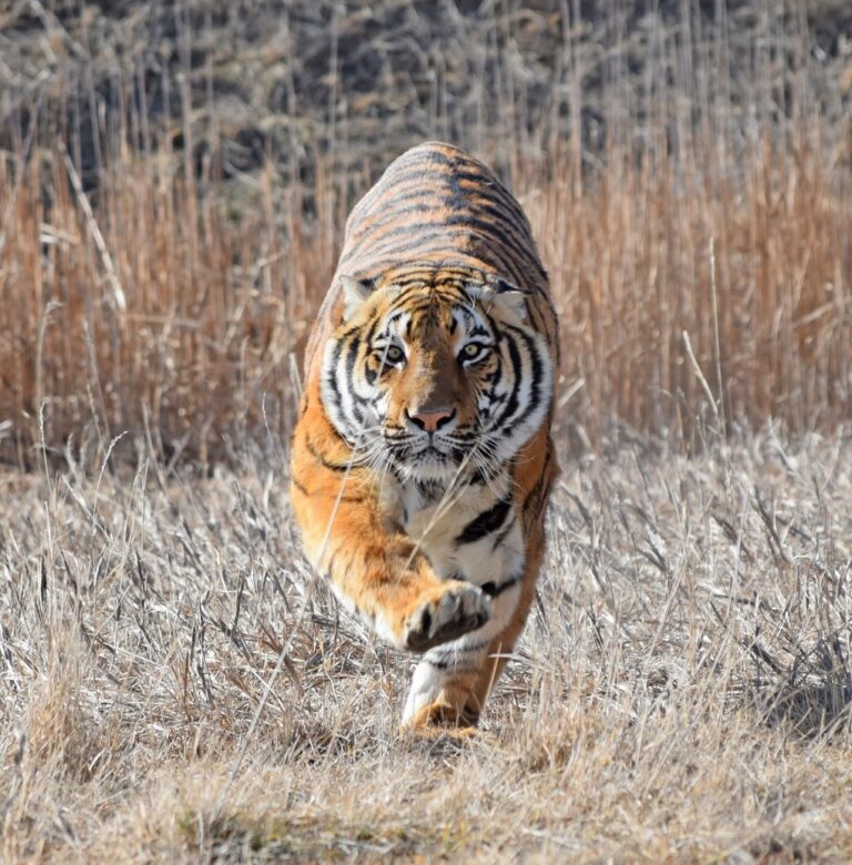 ALBUQUERQUE: Condenado líder de traficantes de fentanilo 