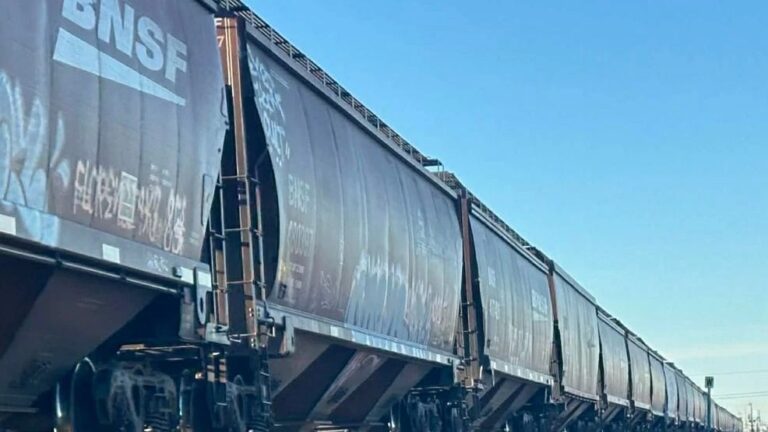 LAS CRUCES: Muere atropellado por tren 