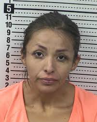 Las Cruces: Crimen Organizado: Robaba en tiendas y vendía en redes sociales 